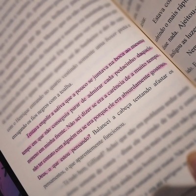 trecho livro ituiutabana