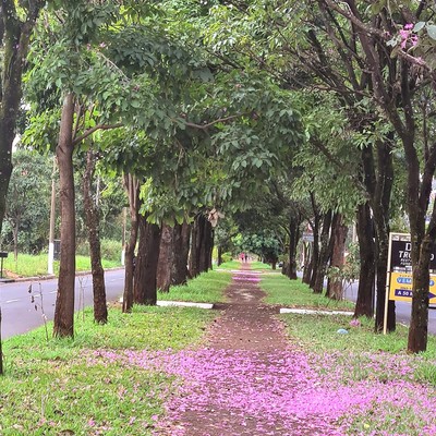 Pista de Caminhada Bairro Alvorada