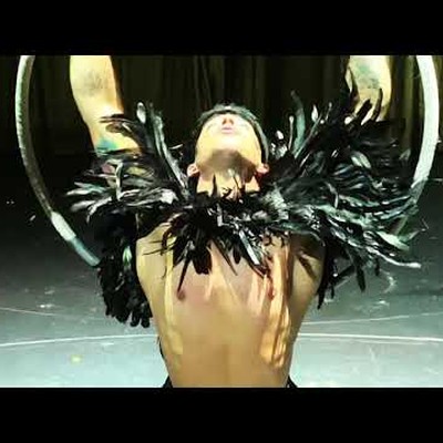 corvo dança
